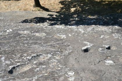 Impronte fossili conosciute come 'Ciampate del Diavolo', lasciate 350.000 anni fa da Homo heidelbergensis sulla lava del vulcano Roccamonfina